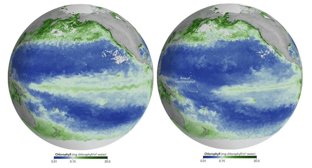 El Niño altera a cor do oceano e ameaça a vida marinha