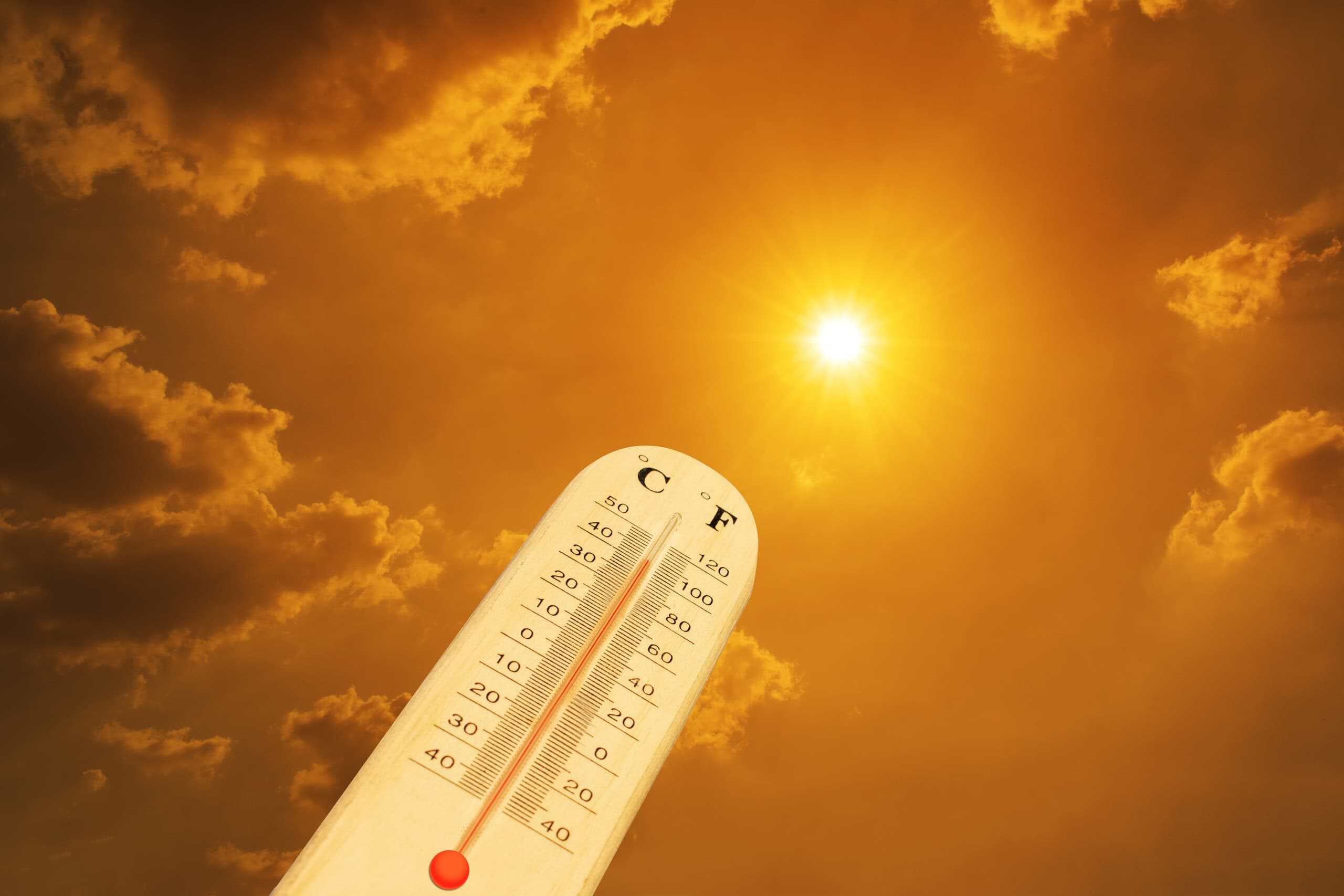 Onda de calor histórica, falhas no PHP e novos avanços em IA marcam a semana
